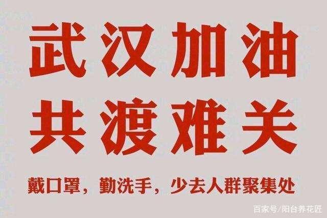 武汉疫情拐点